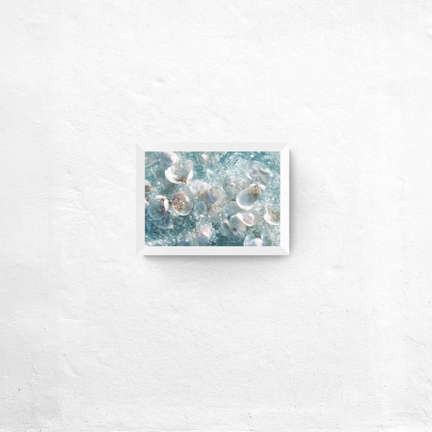 Afrodītes kolekcija: Gliemežvāki zilā jūrā