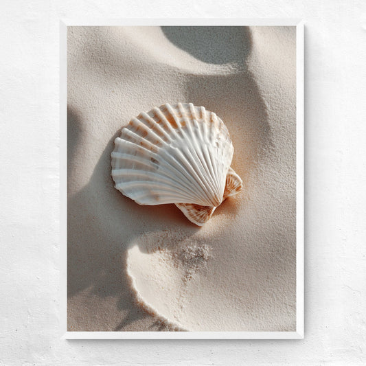 Afrodītes kolekcija: Gliemežvāks