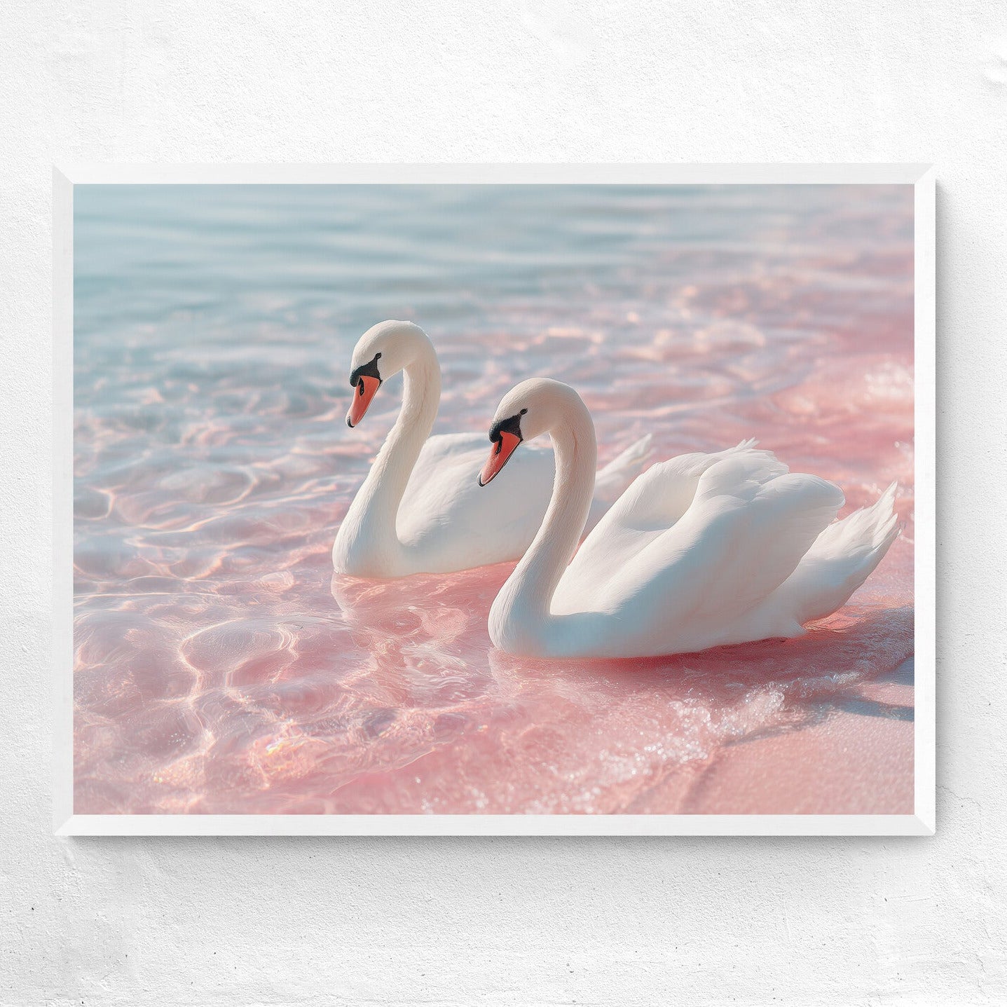 Two swans floating on a pink-hued water surface with a white frame.